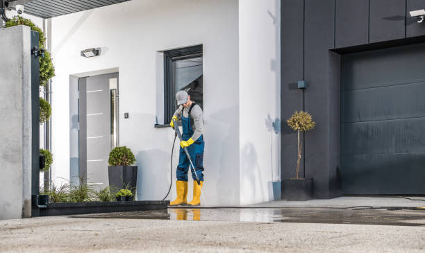 Best Solar Panel Cleaning  in Whiteriver, AZ